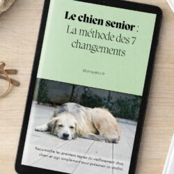 E-book "Le chien senior : La méthode des 7 changements"