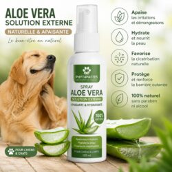Spray aloe vera externe