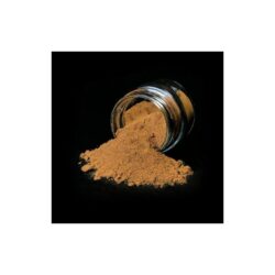 Drainage musculaire chiens