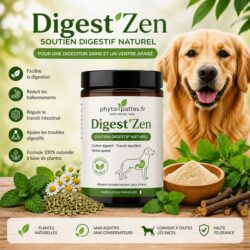 Digest’Zen – Confort intestinal naturel pour chien