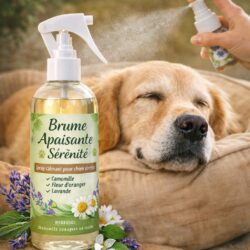 Brume apaisante Sérénité