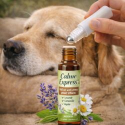 Calme express canin
